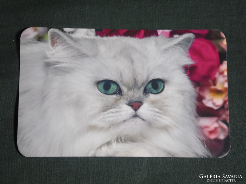 Card calendar, animals series, cat, kitten, 2015, (1)