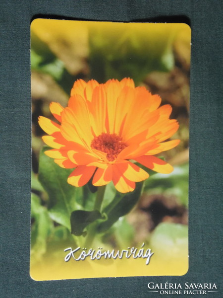 Card calendar, mistletoe pharmacy, pharmacy, Tamási, flower, plant, marigold, 2018, (1)