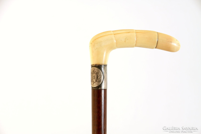 Walking stick with walrus tusk handle with silver monogram label 85cm | bone head bone walking stick