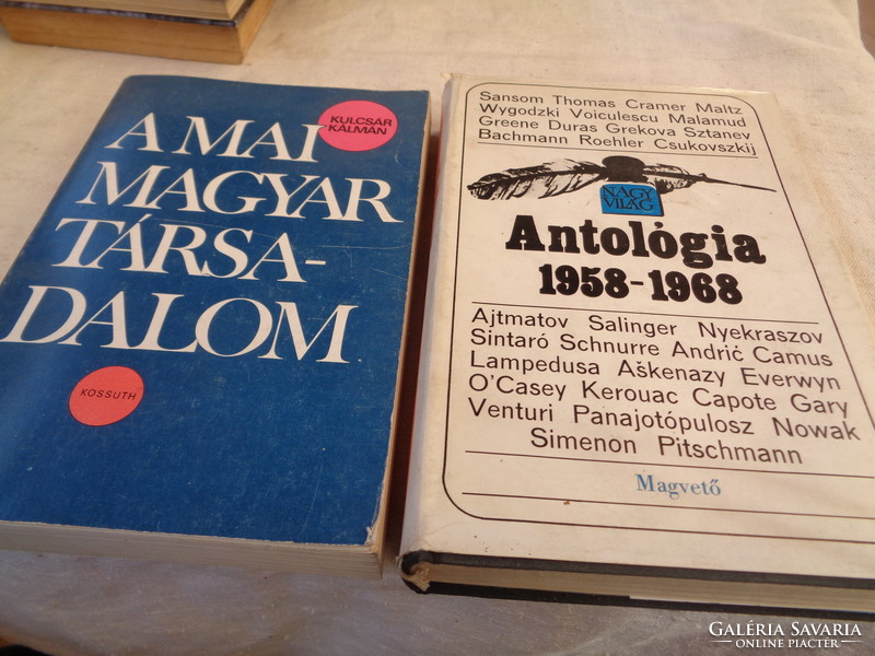 A mai magyar irodalom  és  A nagy világ antológia 1958 -1968