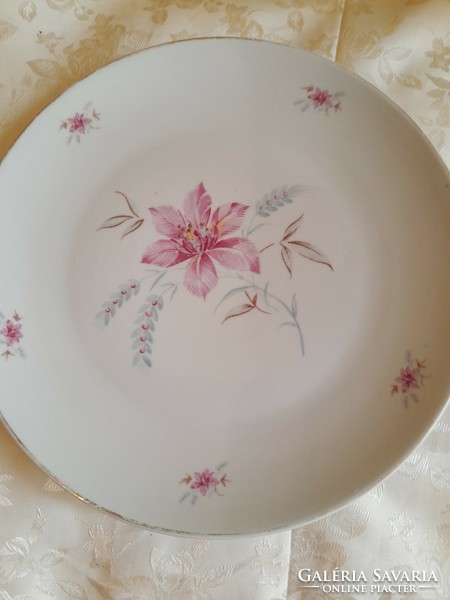 Drasche plate 24 cm