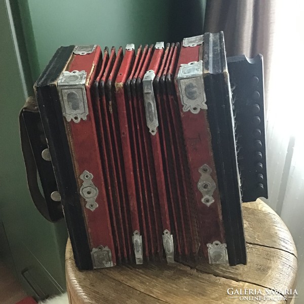 Antique tango accordion with Art Nouveau decoration