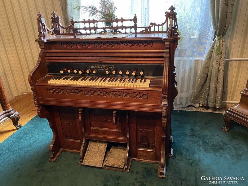 Parkard Organ