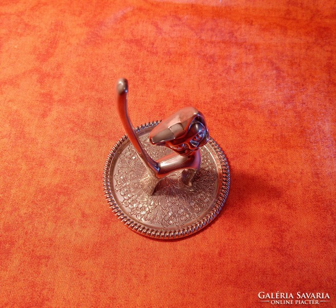 Ezüstözött gyűrűtartó macska, Seba angol jelzéssel