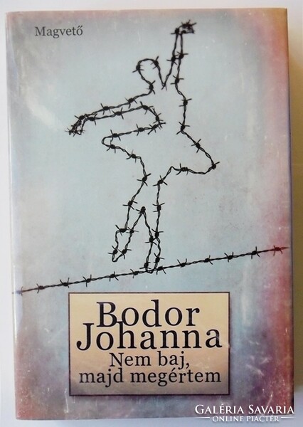 Bodor Johanna: Nem baj, majd megértem