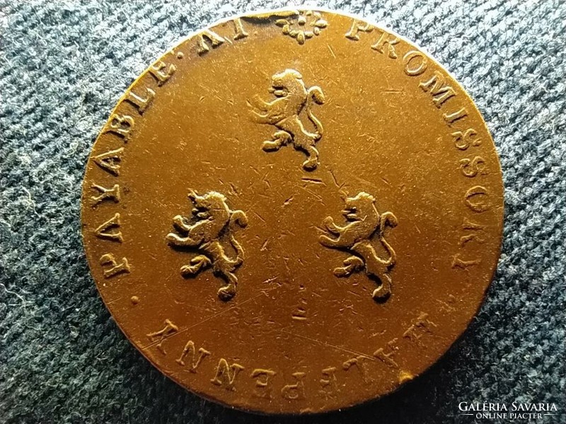 Warwickshire, England. Dr Birmingham Samuel Johnson 1/2 penny 1790 (id60702)