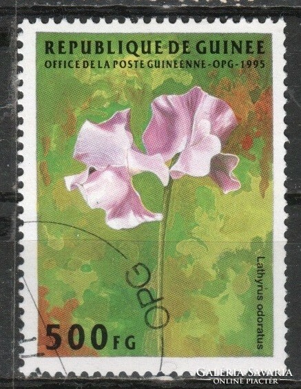 Virág, gyümölcs 0054    1,00 Euró