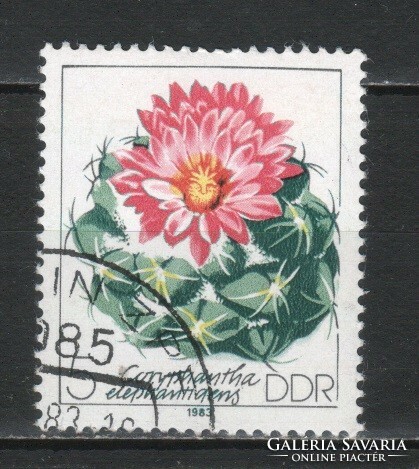 Virág, gyümölcs 0185