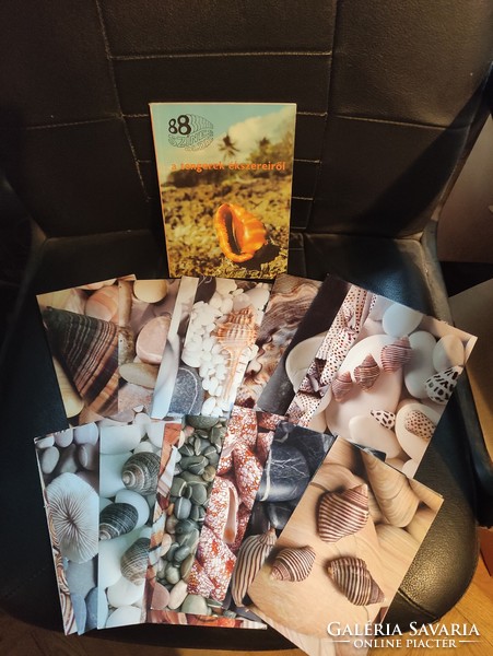 88 színes oldal tengeri csigák- kagylók+ képeslapok.
