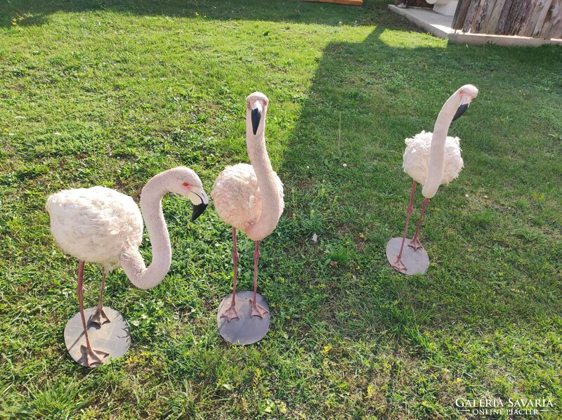 Régi színházi flamingók