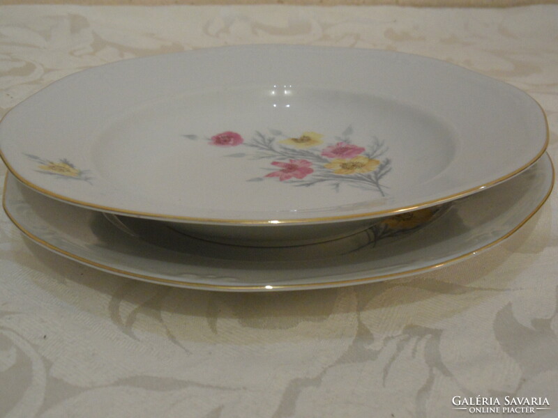German porcelain flat and deep plate, tableware set with poppies (12 pcs.)