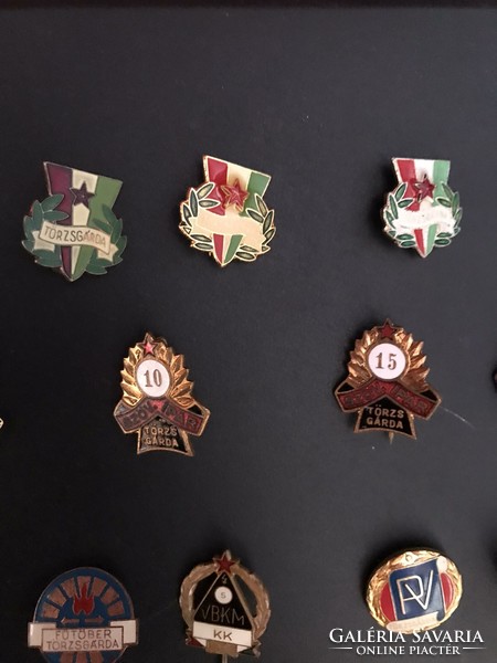 13 pieces of standard guard insignia