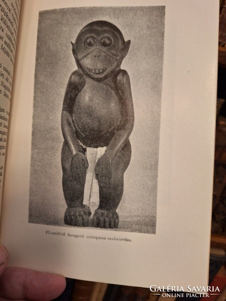 1940-Royal Hungarian Society of Natural Sciences - Gregory Raven. In the wake of gorillas - extra nice collectibles