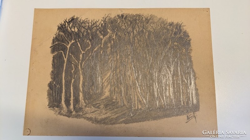 Kázmér Wosinsky: forest pencil drawing (Kismarton 1895-1967 Sopron)