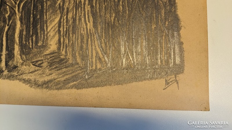 Kázmér Wosinsky: forest pencil drawing (Kismarton 1895-1967 Sopron)