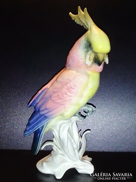 Karl ens, volkstedt macaw parrot in beautiful flawless condition!