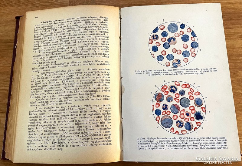 József Hutyra ferenc-marek: veterinary internal medicine ii. Volume - antique book