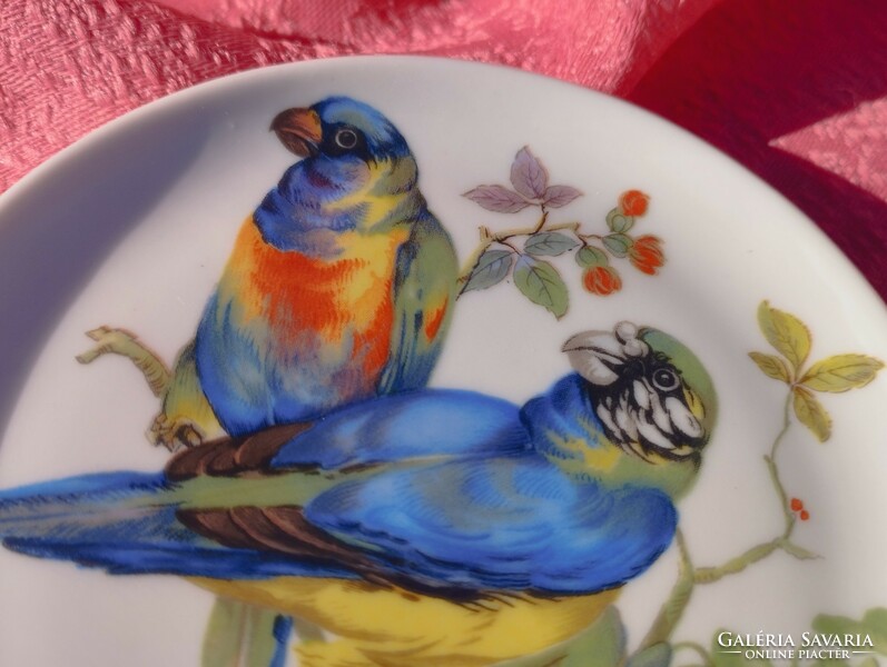 Beautiful bird porcelain small plate, bowl