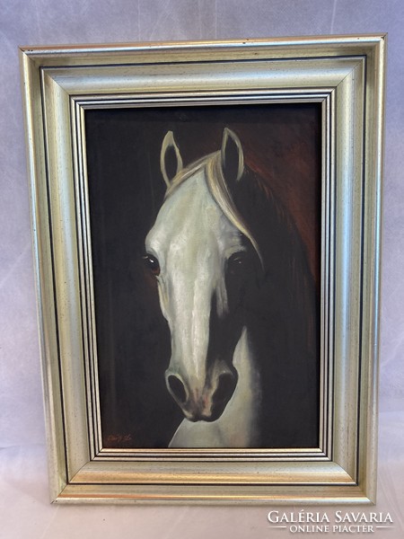 János Csík (1975-): Arabian horse head