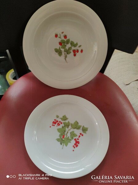 2 plates with a fruit pattern