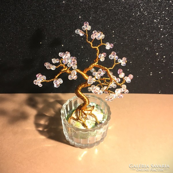 Pearl bonsai, ornamental tree