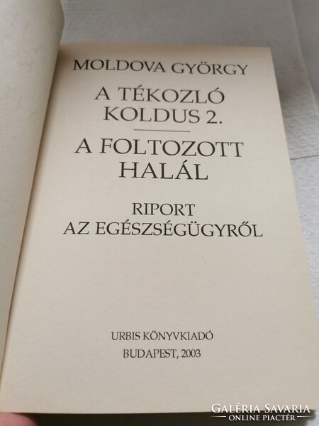 Moldva György A tékozló koldus 2-3