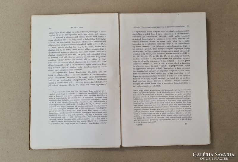 Mathematikai és Természettudományi Értesitő - XXXIII. Kötet, 5.Füzet (1915) Csak egyben eladó 21 db!