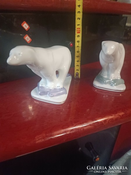 Marked polar bear pair