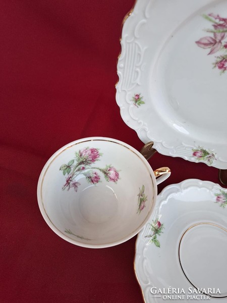 Beautiful schwarzenhammer breakfast Bavarian tea trio set. Floral rosy