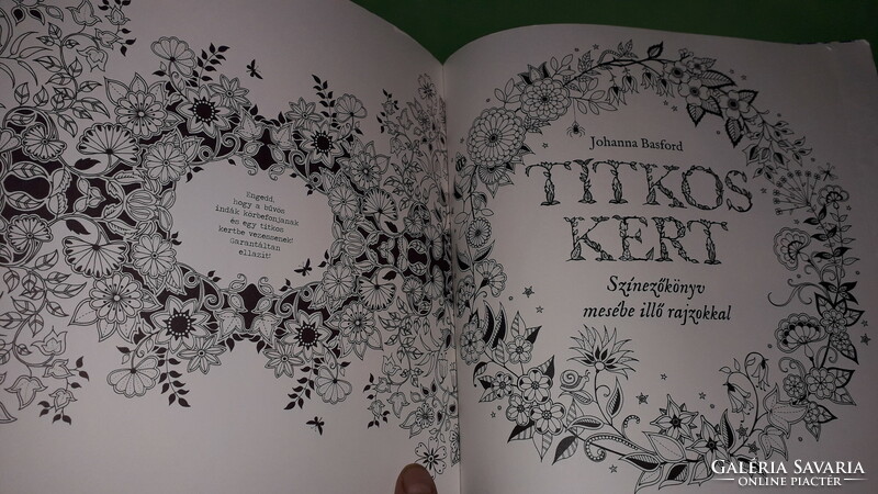 2016.Johanna basford: secret garden - coloring book with fairy tale drawings, according to the pictures, an elf