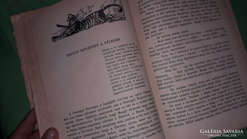 1954. Rudyard Kipling: A dzsungel könyve képes klasszikus könyv a képek szerint IFJÚSÁGI
