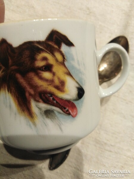 Lassie - skót juhászkutya / Bavaria, porcelán csésze