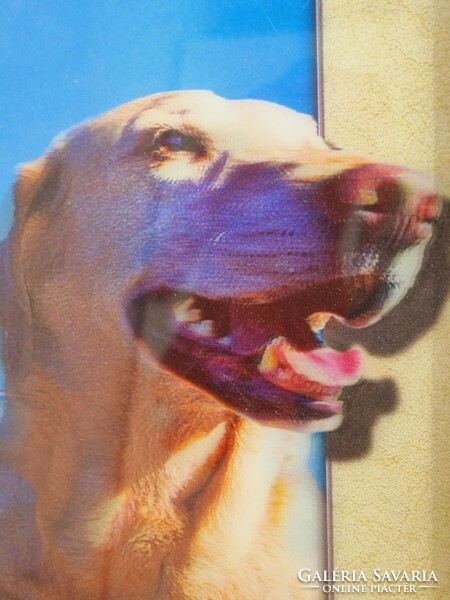Dog hologram image 403x430 mm.