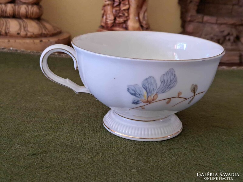 Bavaria Weimar Germany floral tea cup