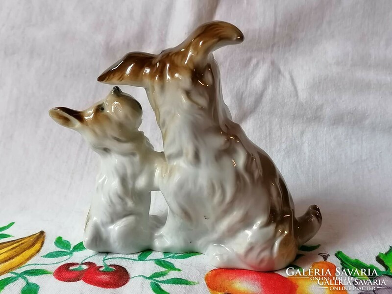 Aranyos porcelán foxi kutyák