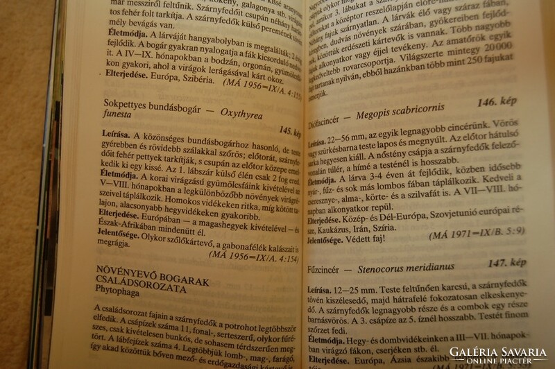 Móczár László: Rovarkalauz – Gondolat Könyvkiadó 1990