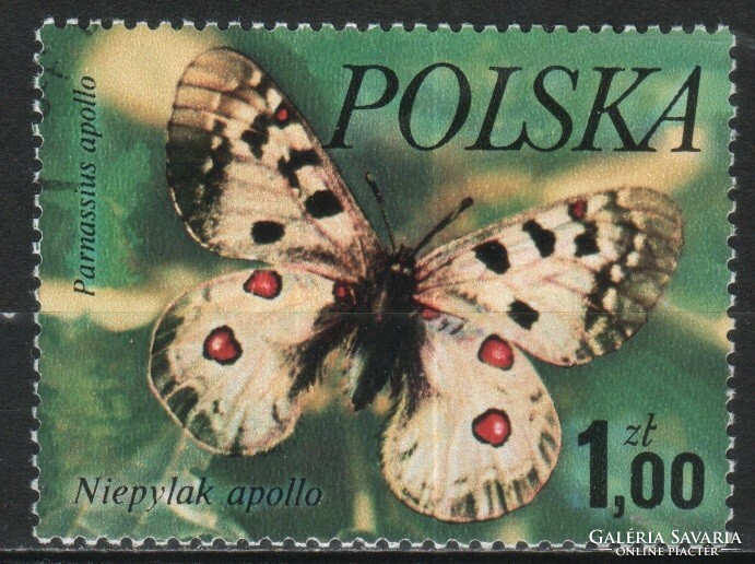 Lepkék 0092 Lengyelország Mi 2515    0,30 Euró
