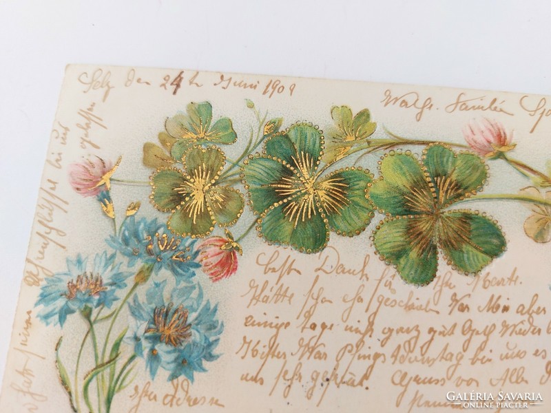 Old postcard 1909 embossed postcard cornflower clover