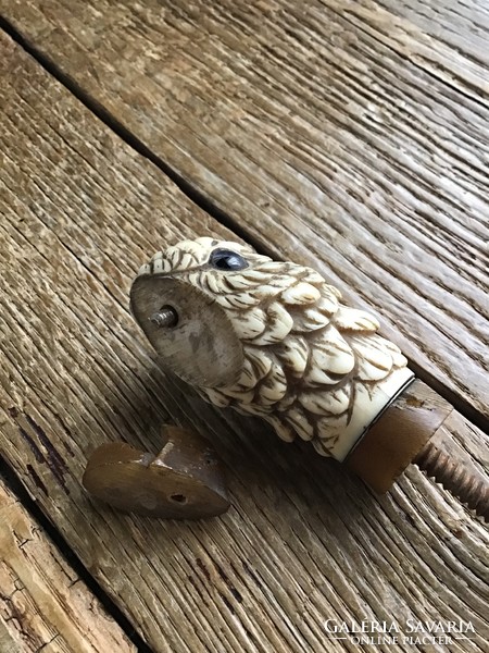 Parrot head carved from antique tusk with stick-end horn, damaged