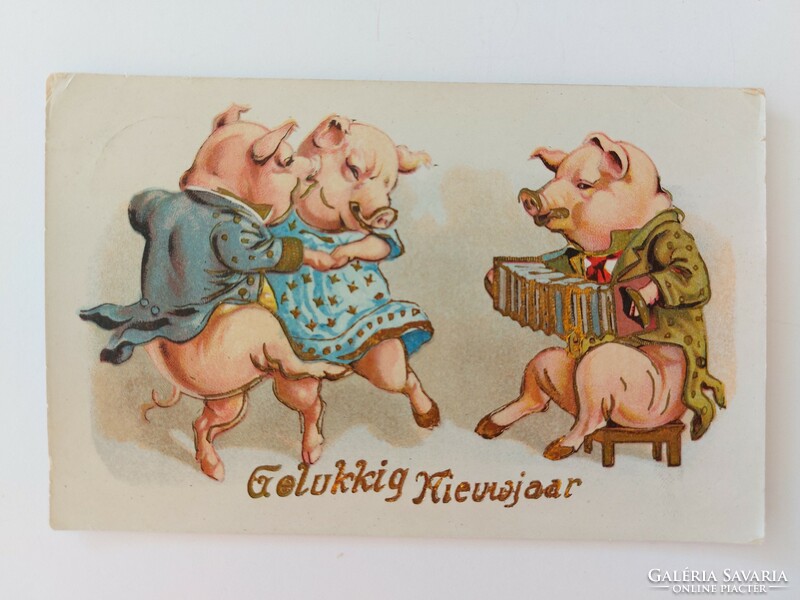 Old New Year's card 1929 postcard of pigs having fun