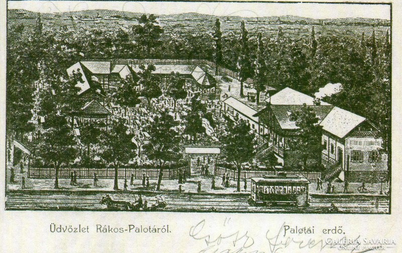 E - 084  Rákospalota és környéke archív fotói reproduktív lapokon: Palotai erdő