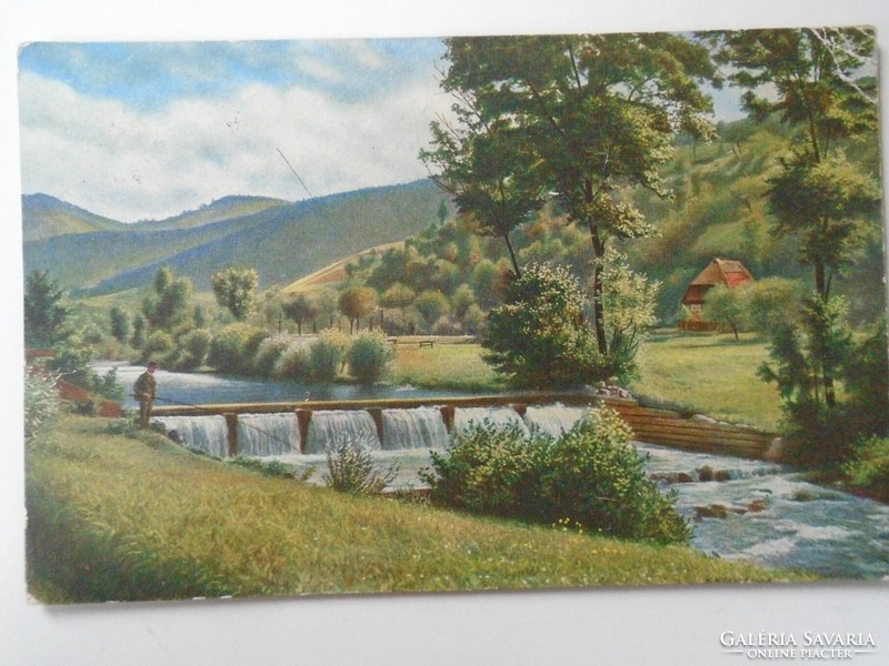 D199271 postcard - Czegled 1925 German Emma with pond hops - Spring in the Black Forest