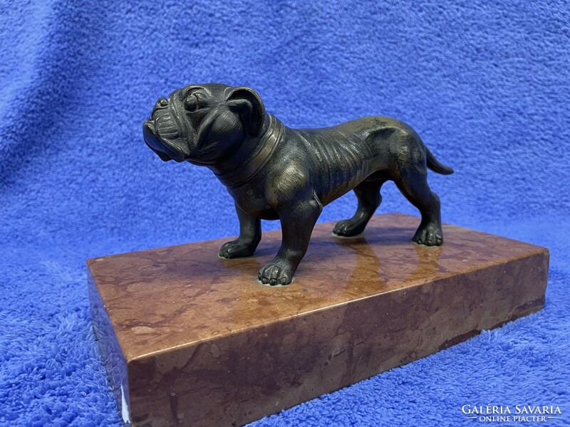 Antique, bronze bulldog, boxer on a marble plinth, in a richly detailed design