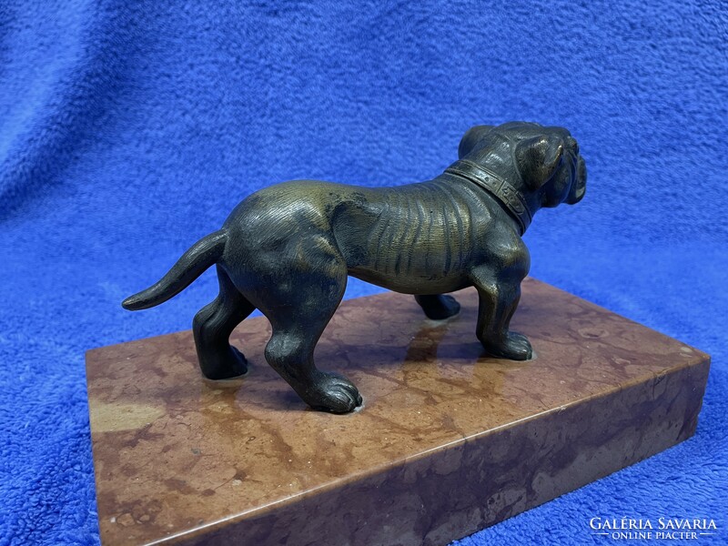 Antique, bronze bulldog, boxer on a marble plinth, in a richly detailed design