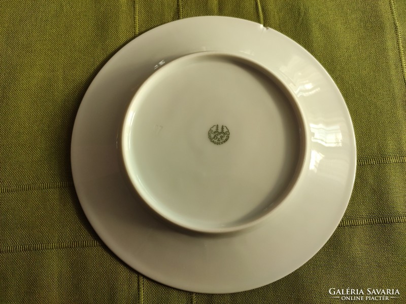 Schlaggenwald Czechoslovakia empire porcelain plates original vintage original design