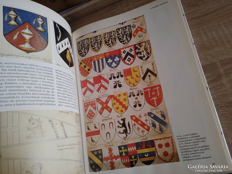 Henrybedingfeld coat of arms picture book