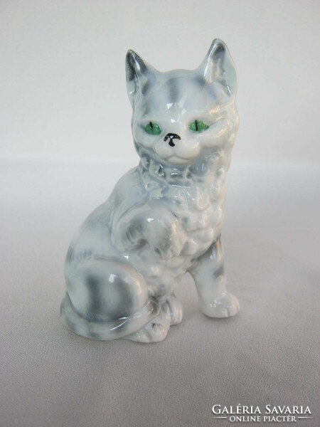 Porcelain cat tabby kitten