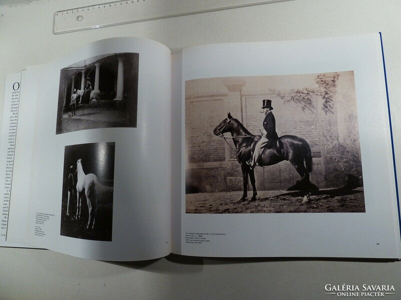 Equestrian book, even as a gift