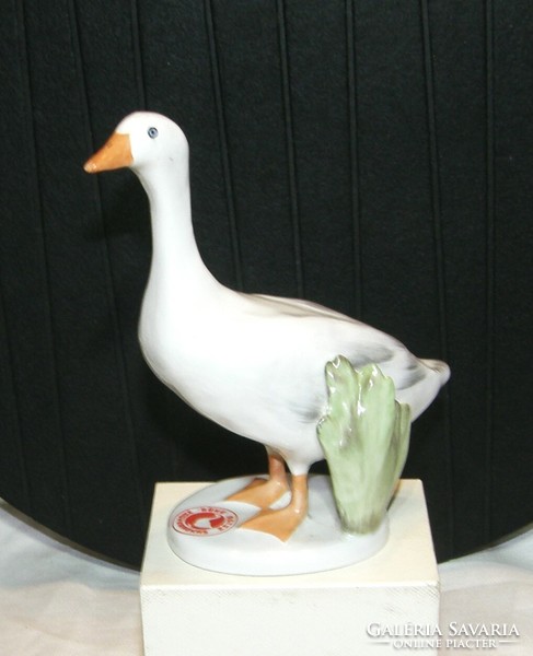 Advertising duck - aquincumi - peace mgtsz zagyvarékas