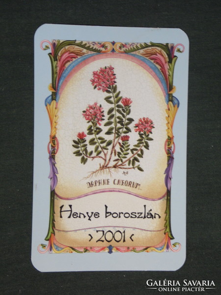 Kártyanaptár, Arany Kehely gyógyszertár patika, Pécs, virág, Henye Boroszlán , 2001,   (2)